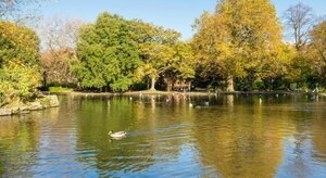 Гостиница Harrington Hall