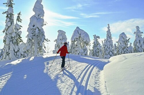 Внешний вид отеля Hotel Königshof в Гармиш-Партенкирхене, фото 5