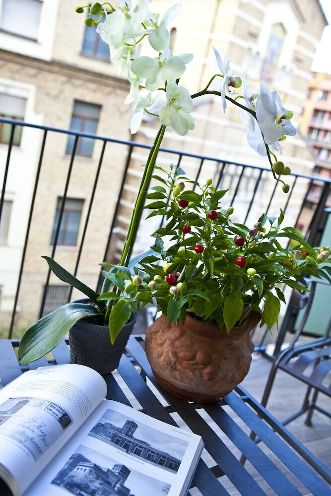 Фото Seven Suites