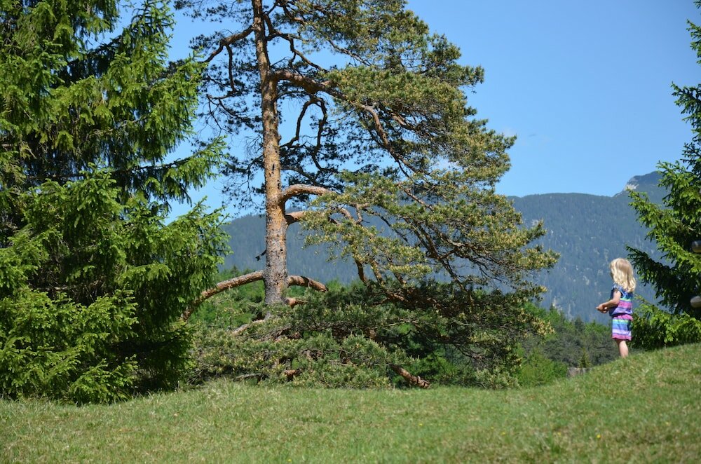 Фото Hotel Rheinischer Hof