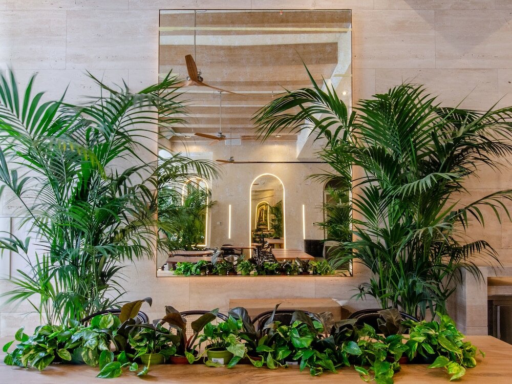 Фото Browns Avenue Hotel