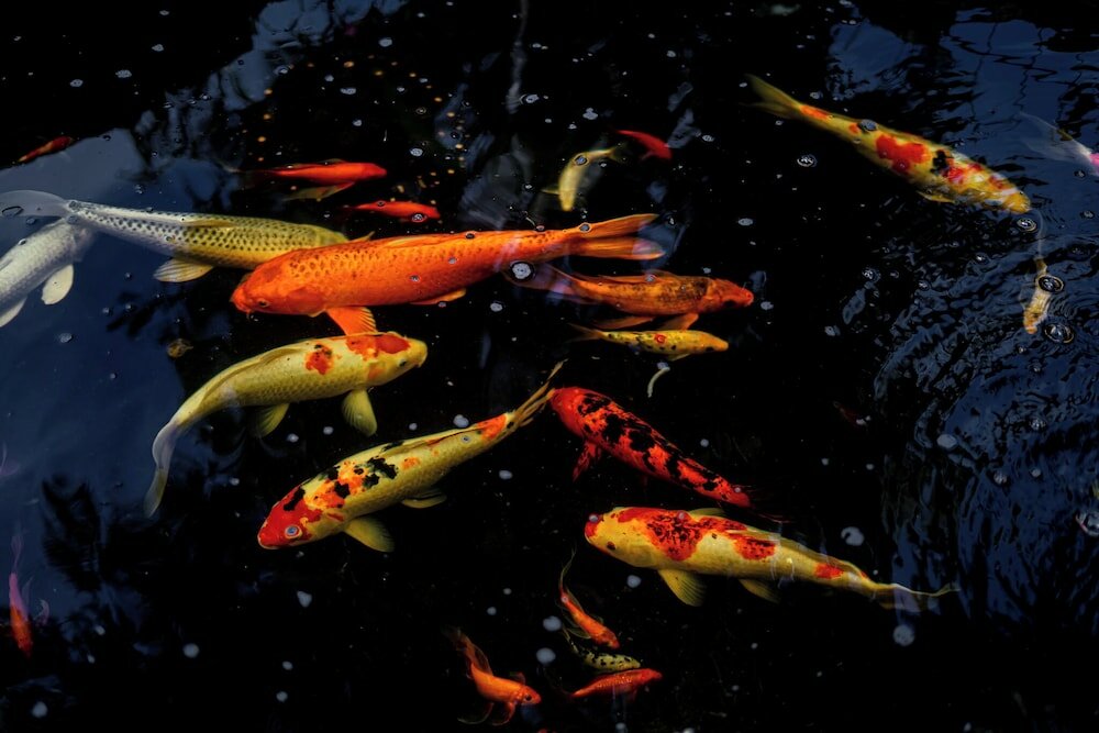 Фото Khoum Xieng Thong Boutique Villa