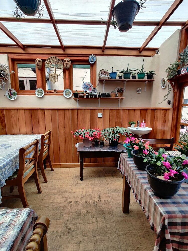 Фото Carnation Rest