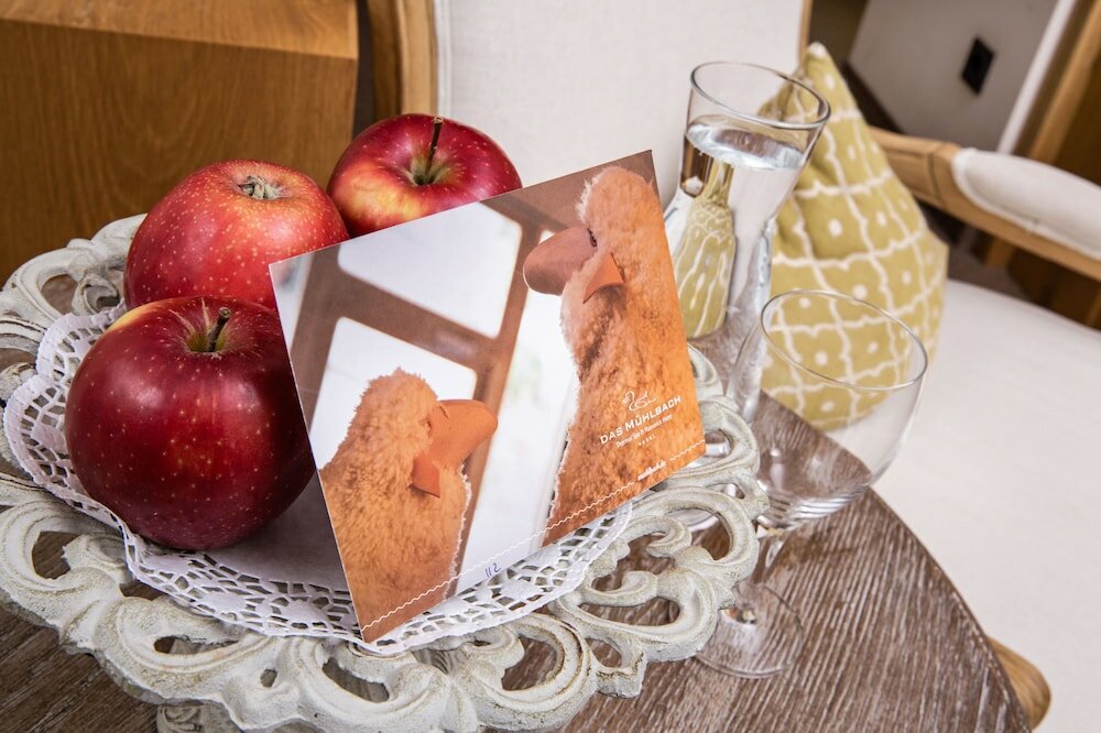 Фото Mühlbach Thermal SPA & Romantik Hotel