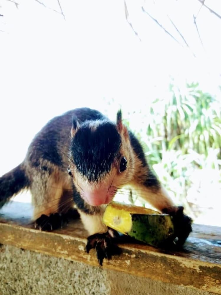 Фото Malika Yellow House