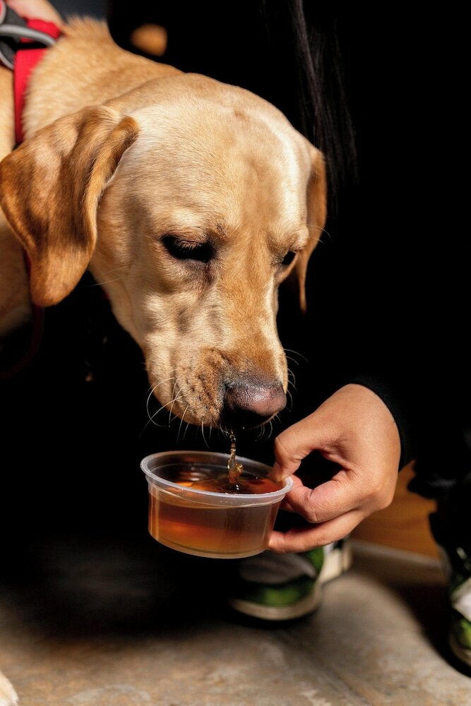 Фото Moxy London Excel