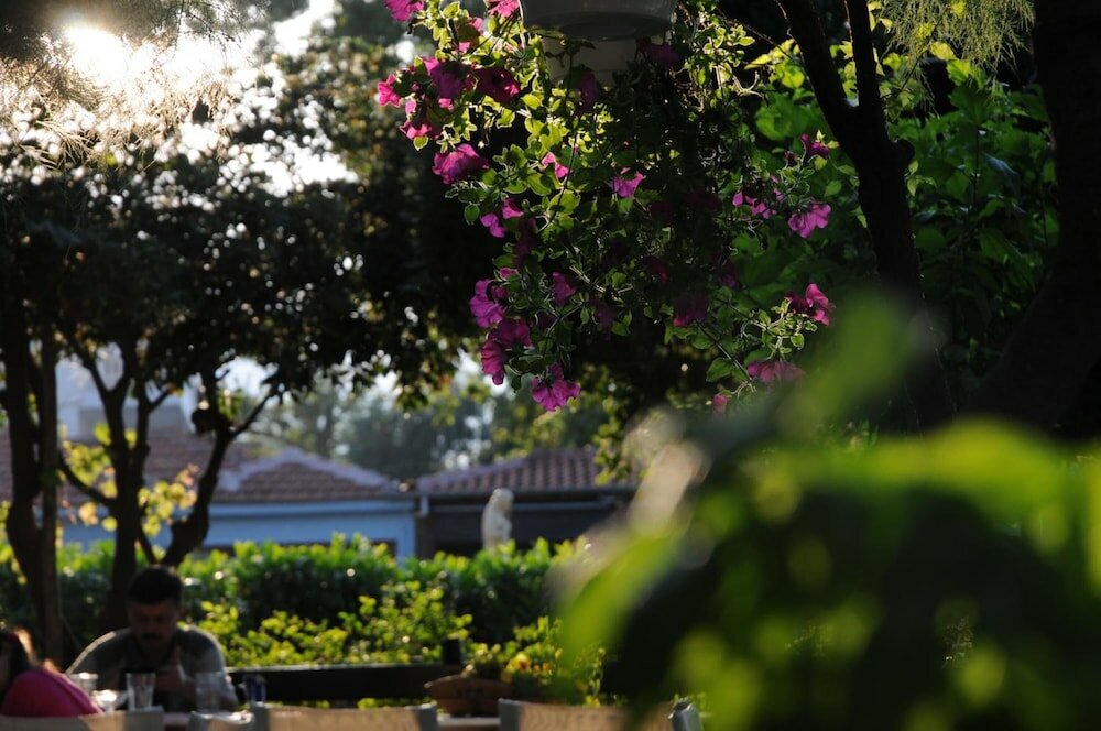 Фото Hotel Morfeas