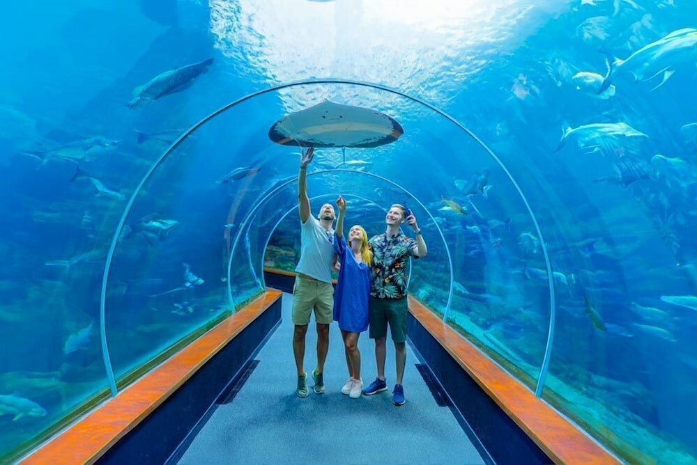 Фото Hostal Kasa