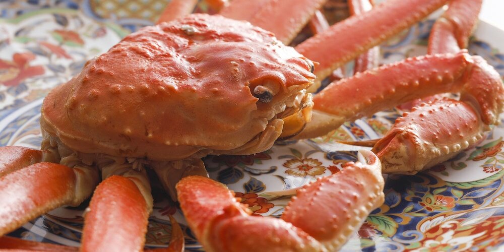 Фото Seikiro Ryokan Historical Museum Hotel