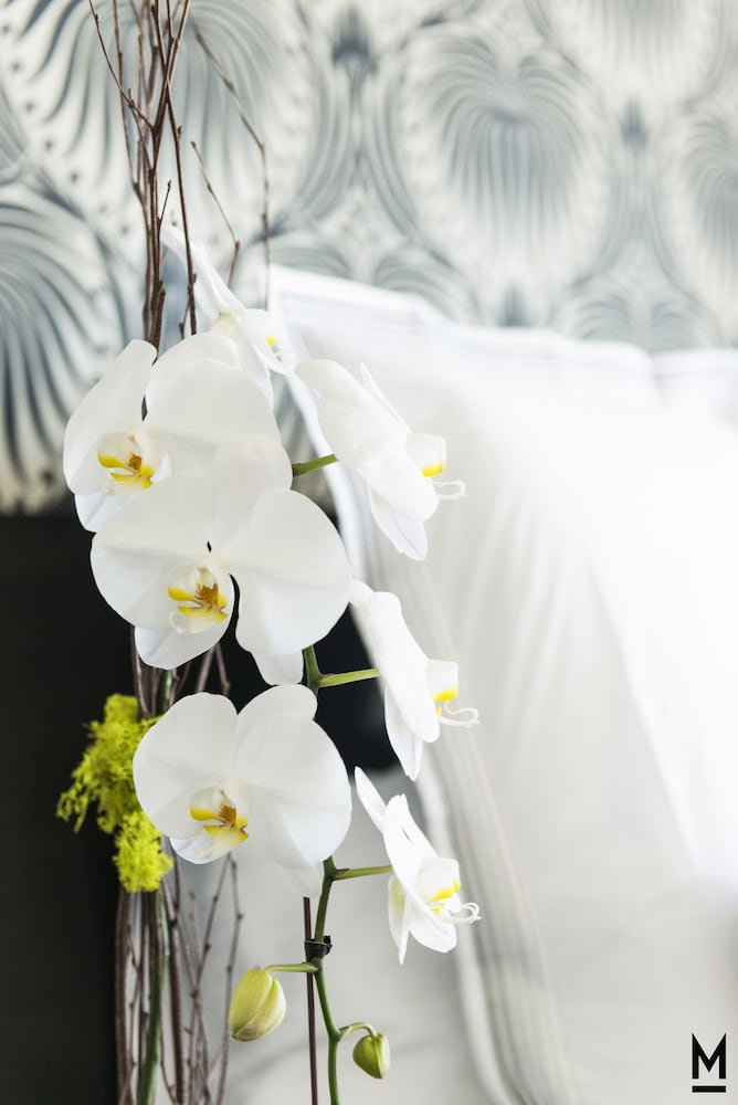 Фото The Mayfair Hotel Los Angeles