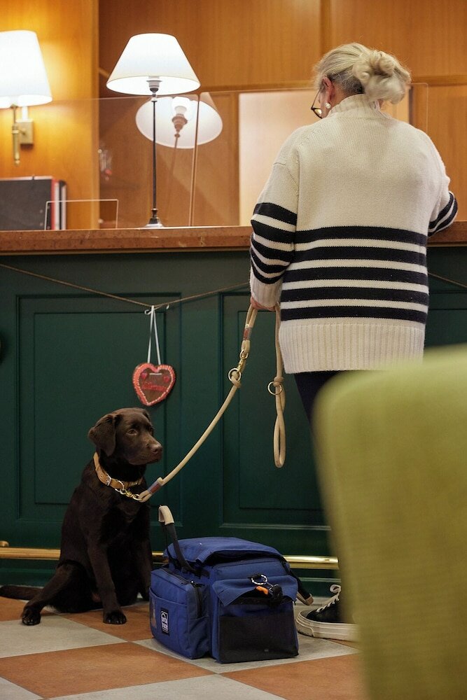 Фото Hotel Freisinger Hof