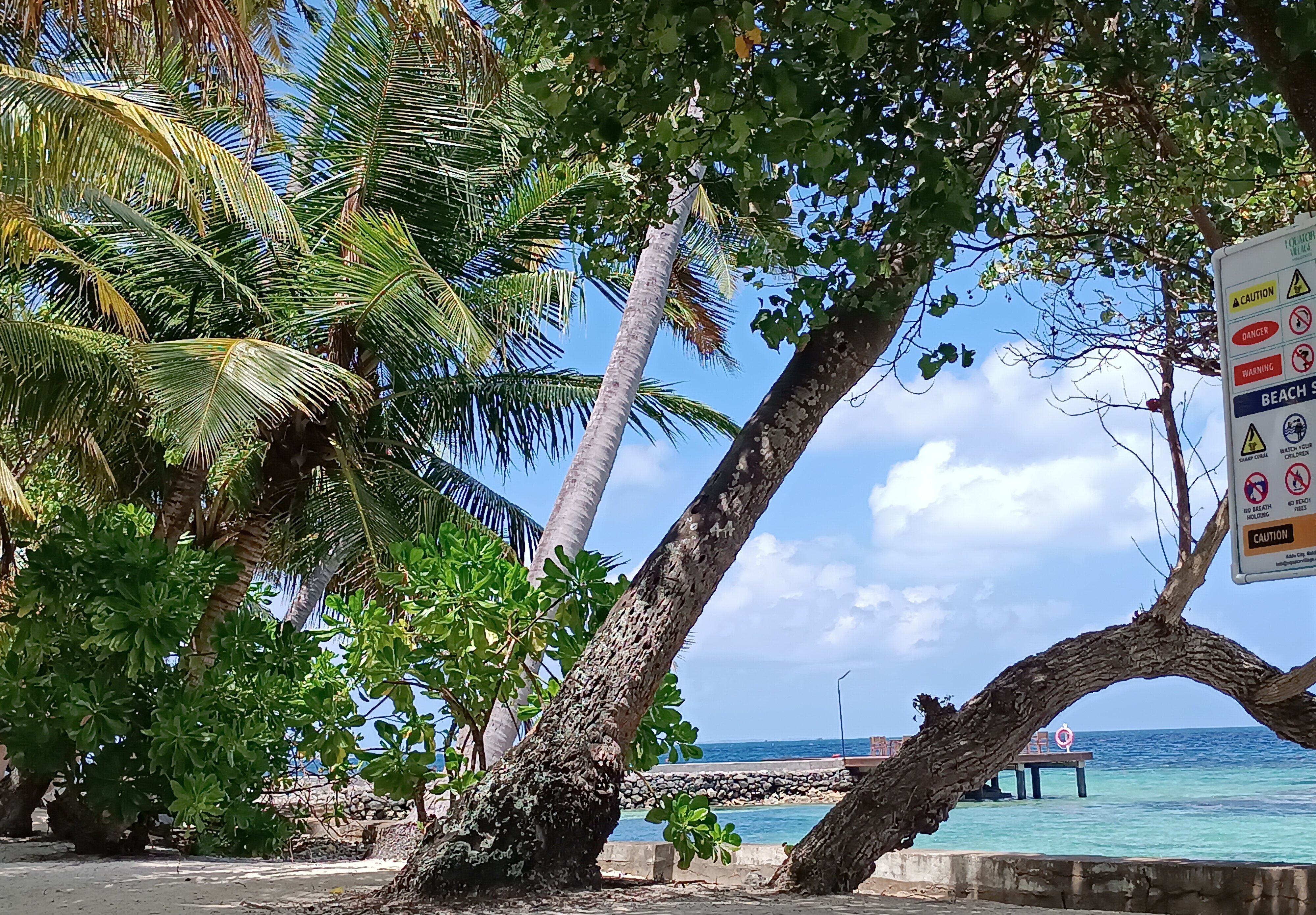 Фото Equator Village 