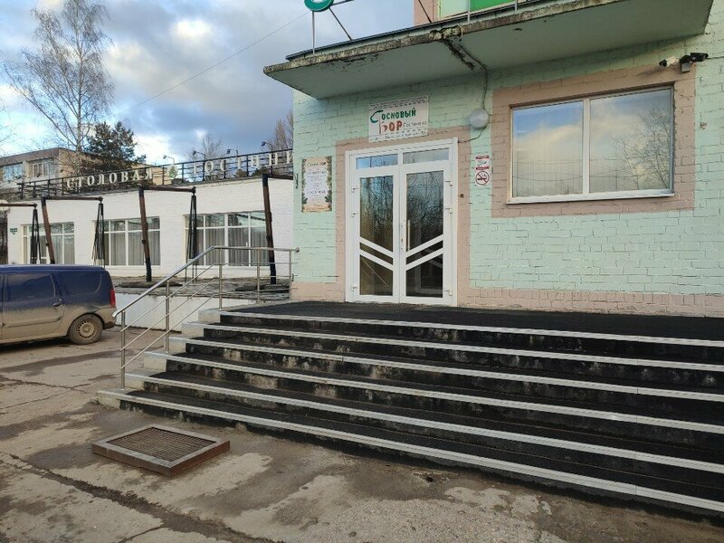 Сосновый бор — фото 12