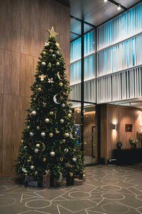 Valo Ramada Plaza by Wyndham Saint Petersburg