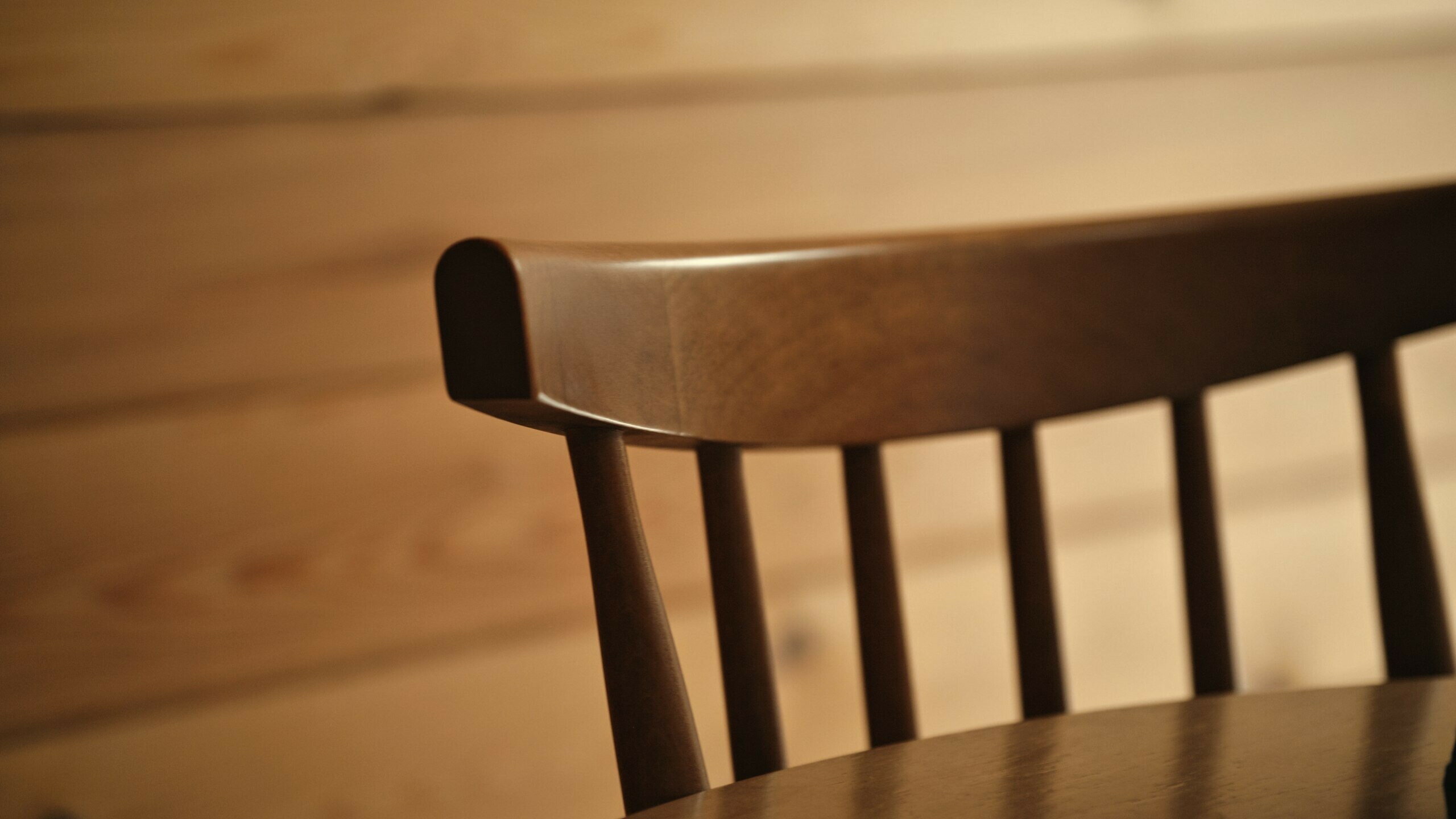 Фото Место под соснами