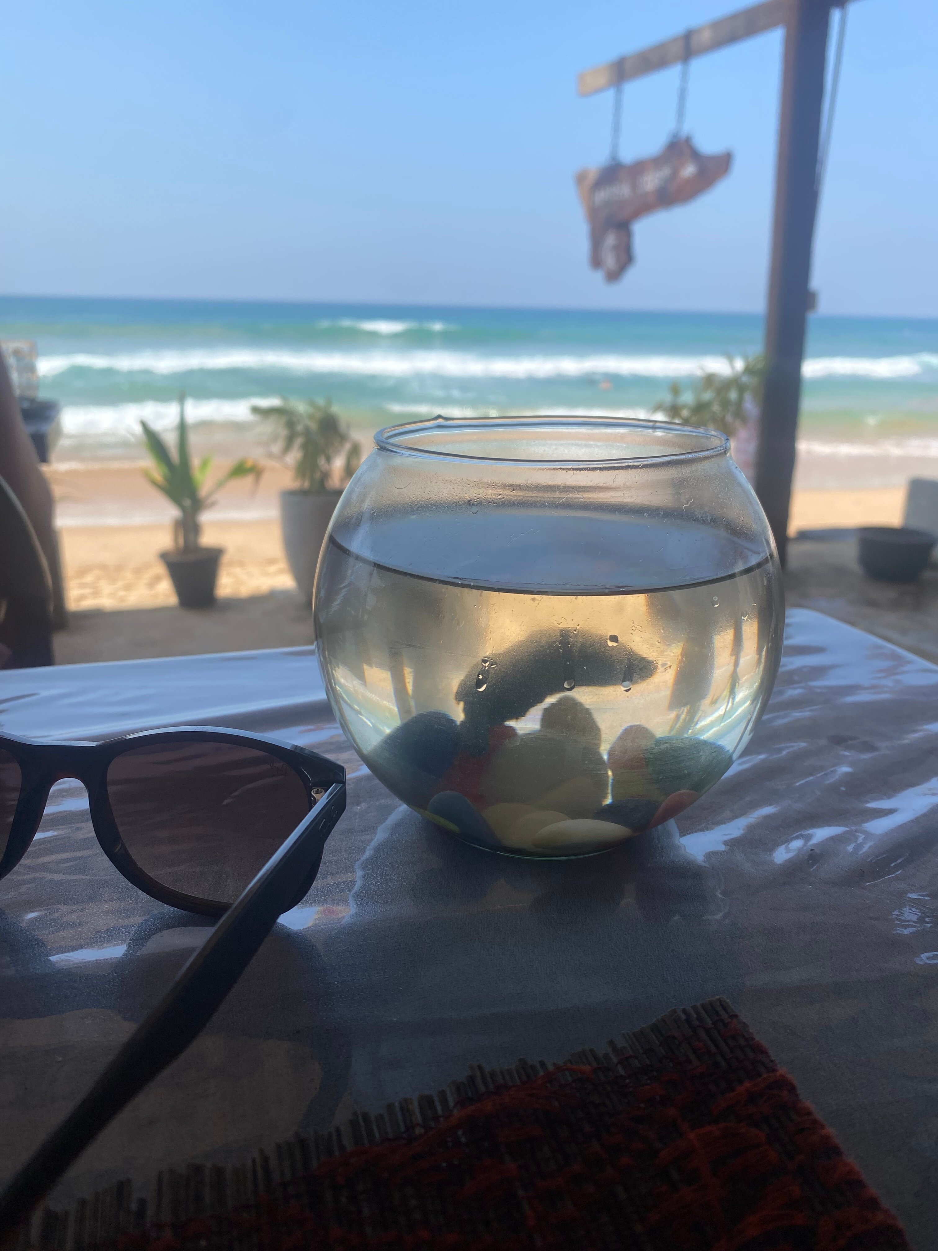 Фото Hansa Surf Hotel