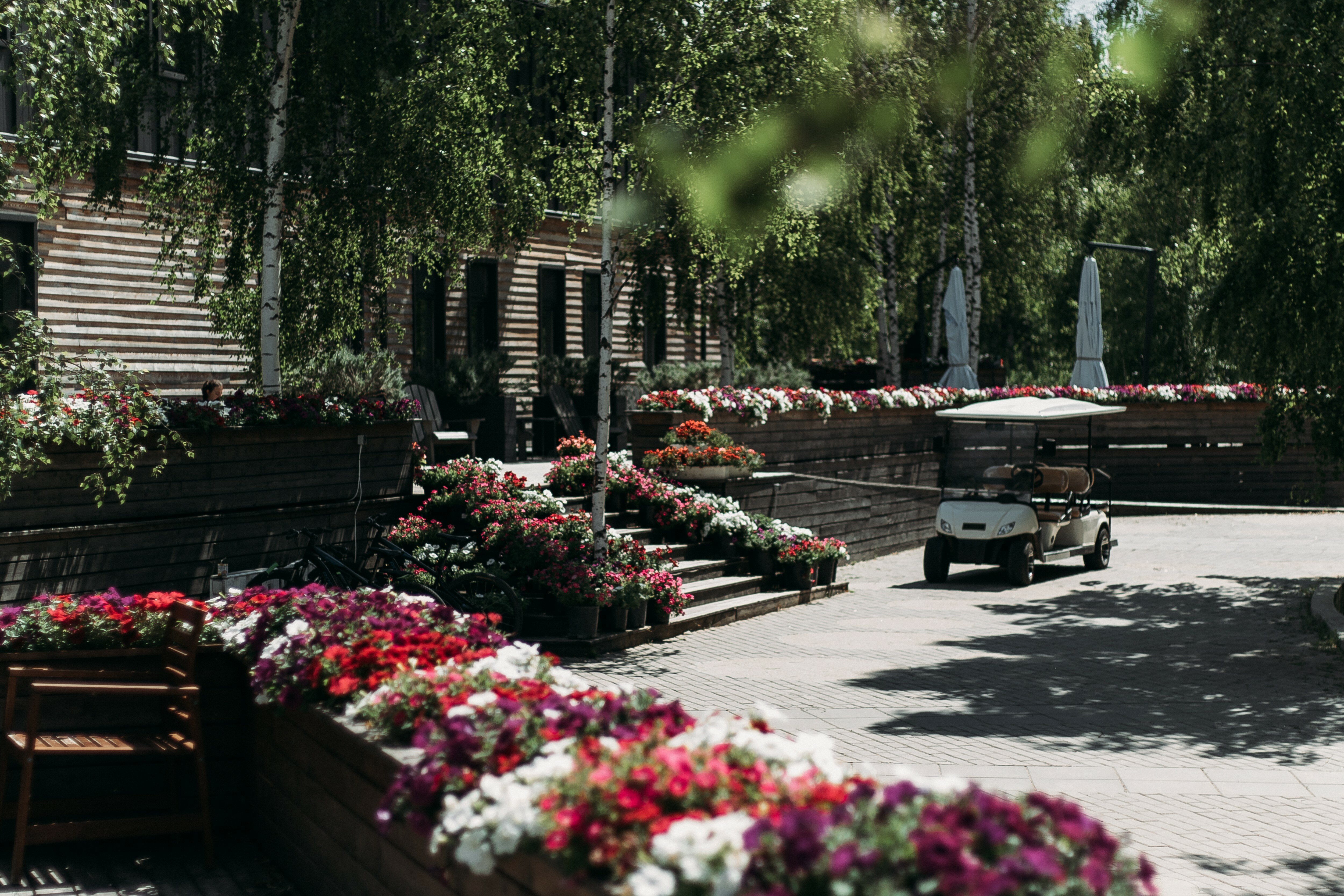 Фото Джао ДаЧа