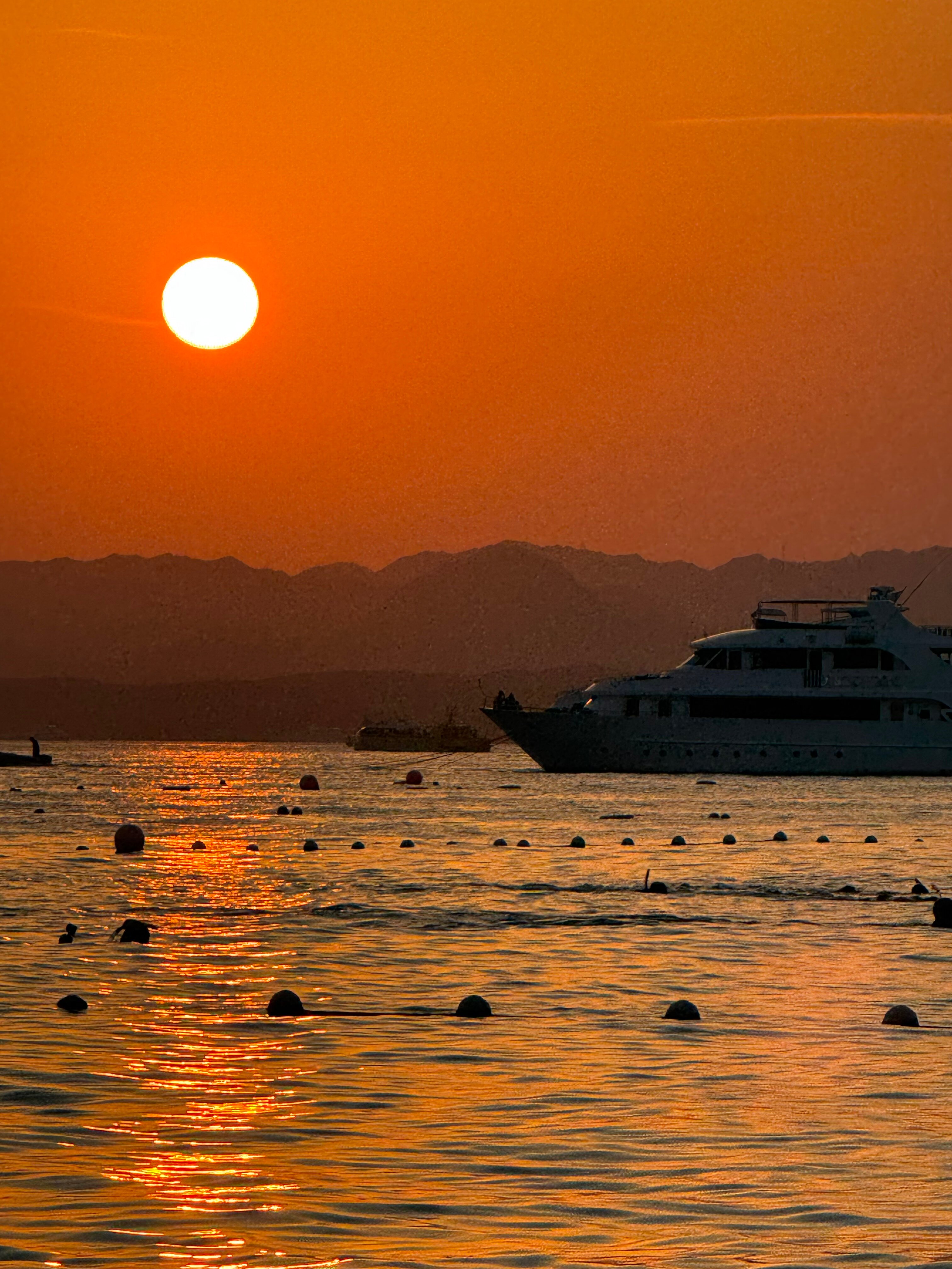 Фото Dive Inn Resort