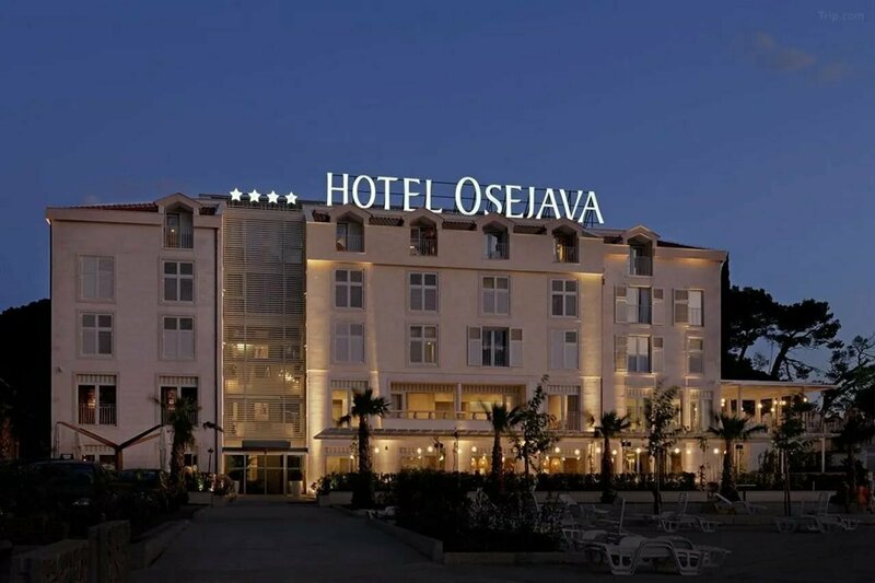 Гостиница Hotel Osejava