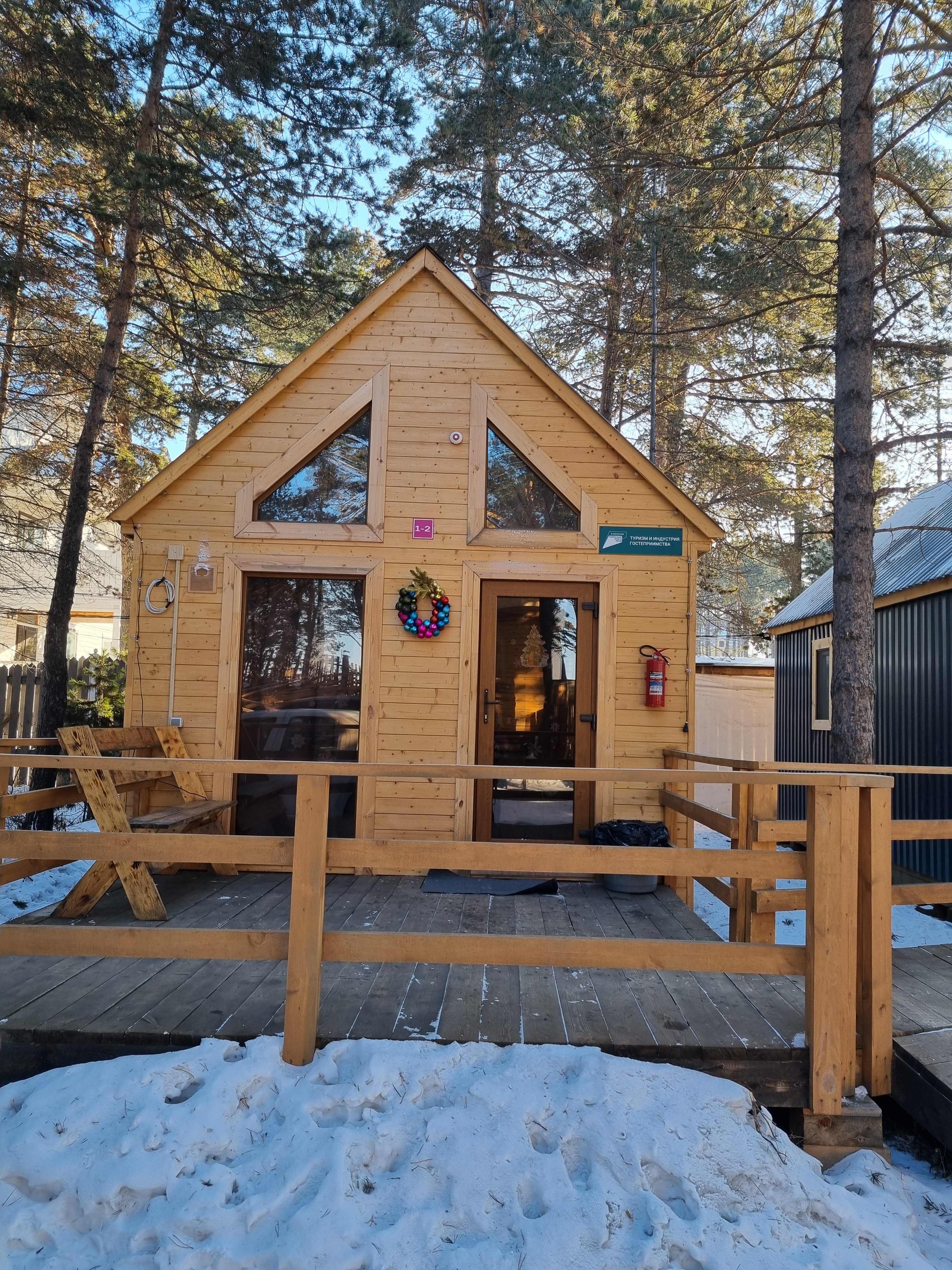 Фото Багульник