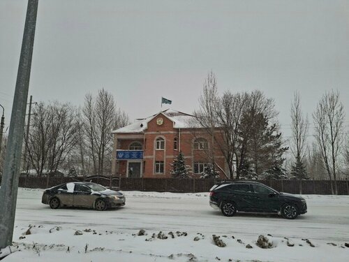 Түрік әйелдері