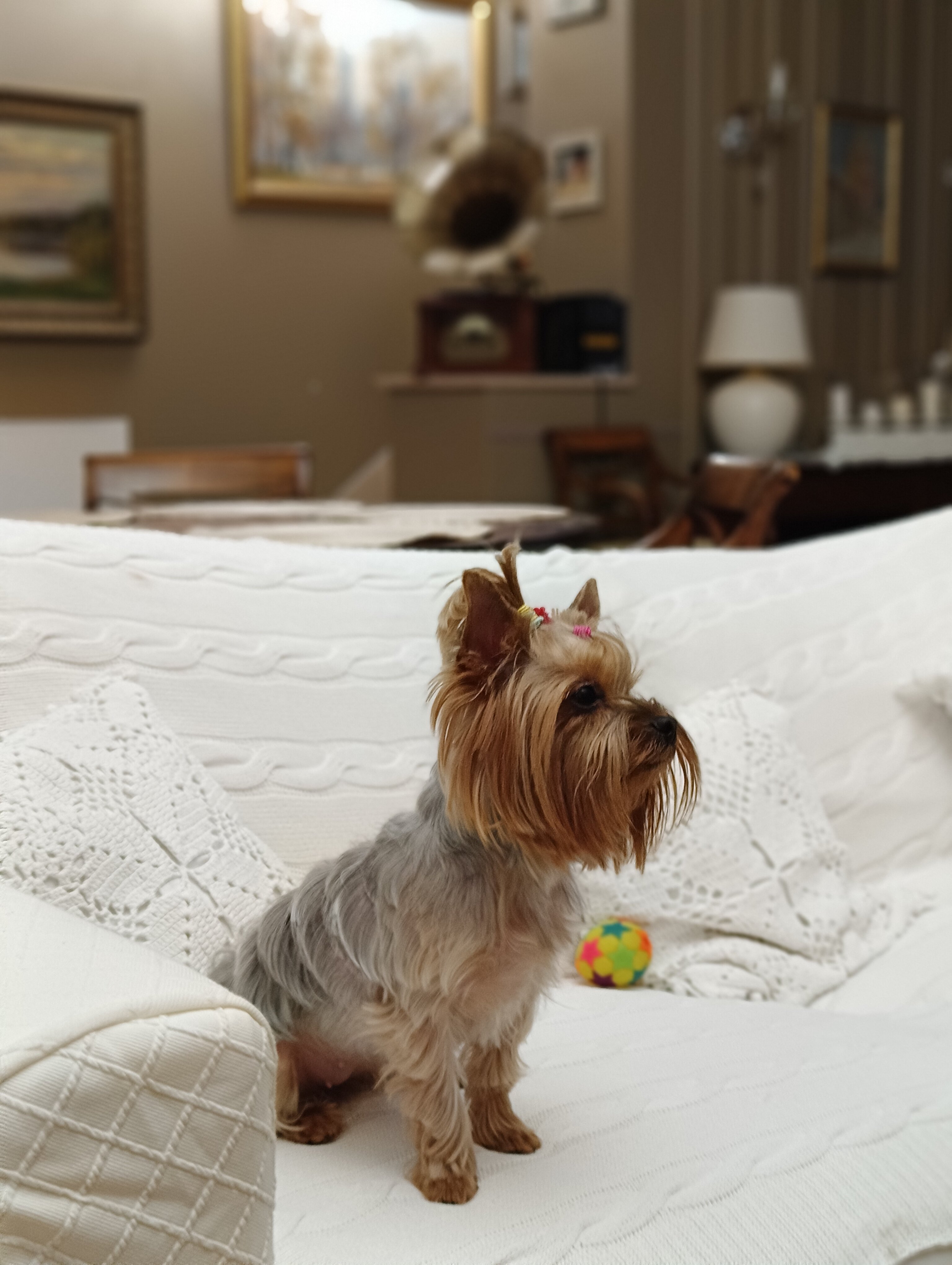 Фото Дубровский