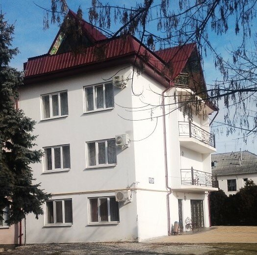 Фото Сакура