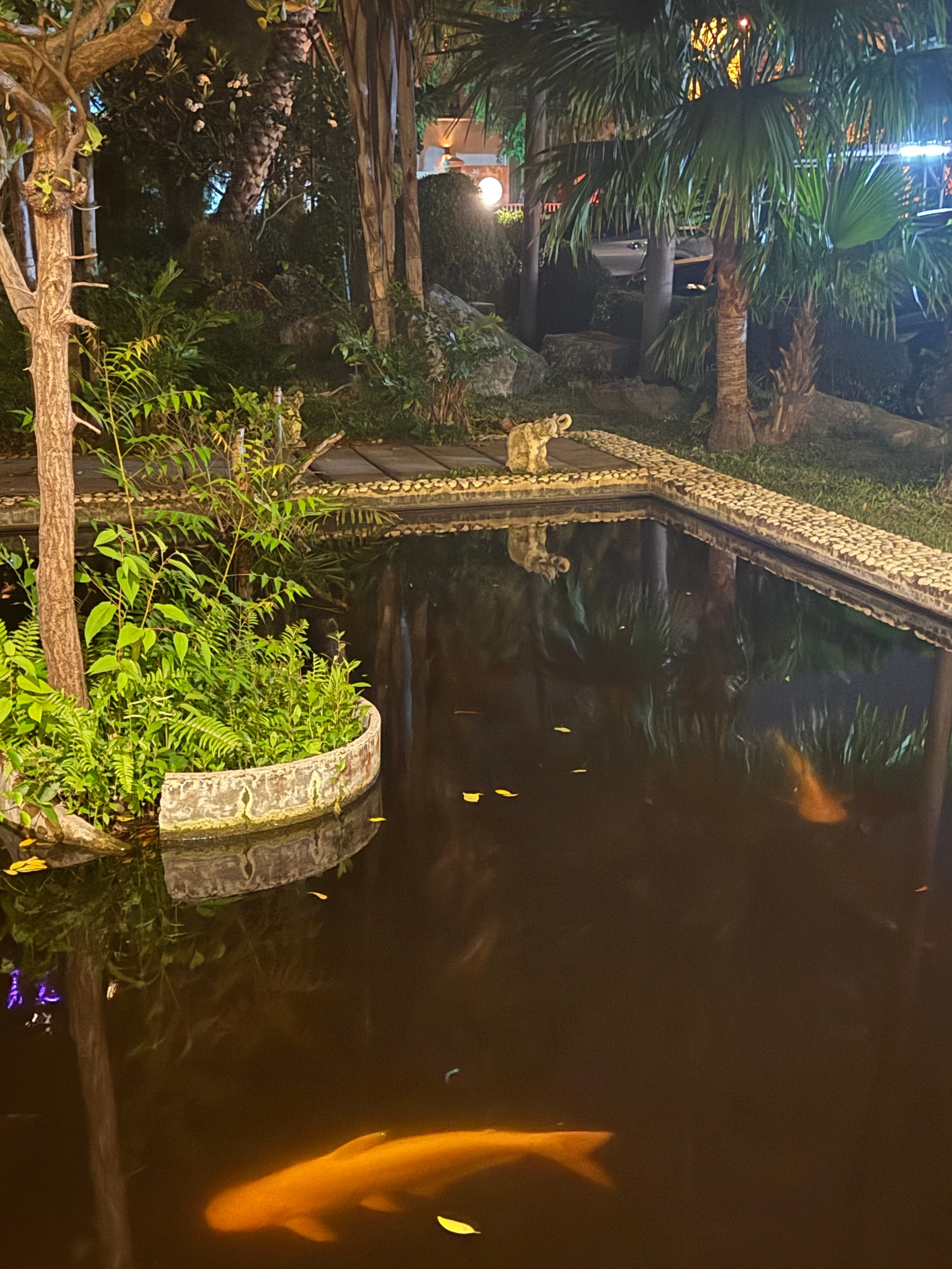 Фото Sunshine Garden Resort