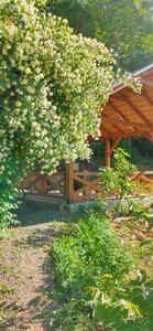 Купольный домик в горах Крыма