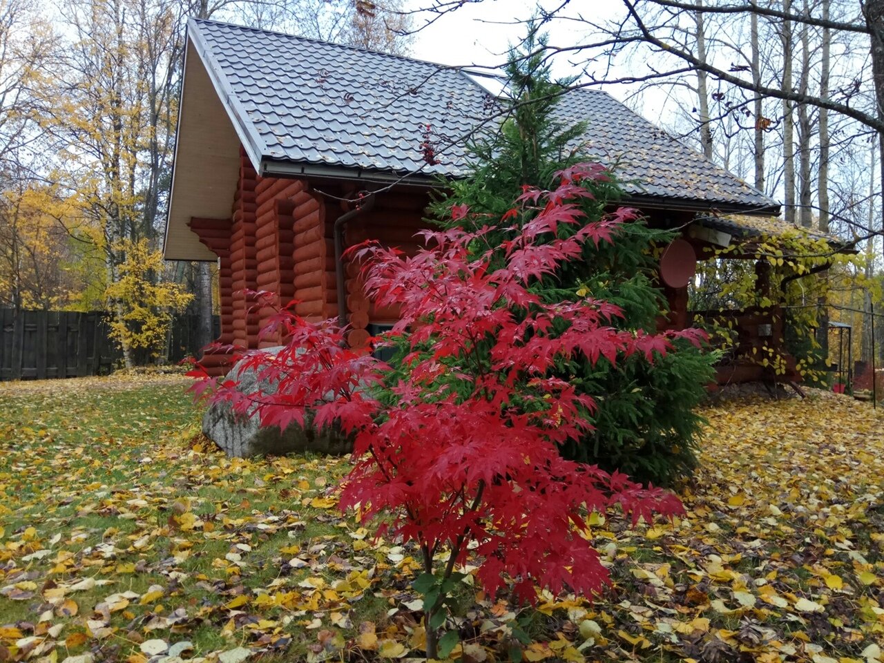 Фото Коттедж Рябиновка