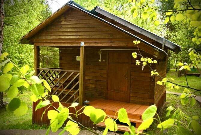 Фото Летний сад