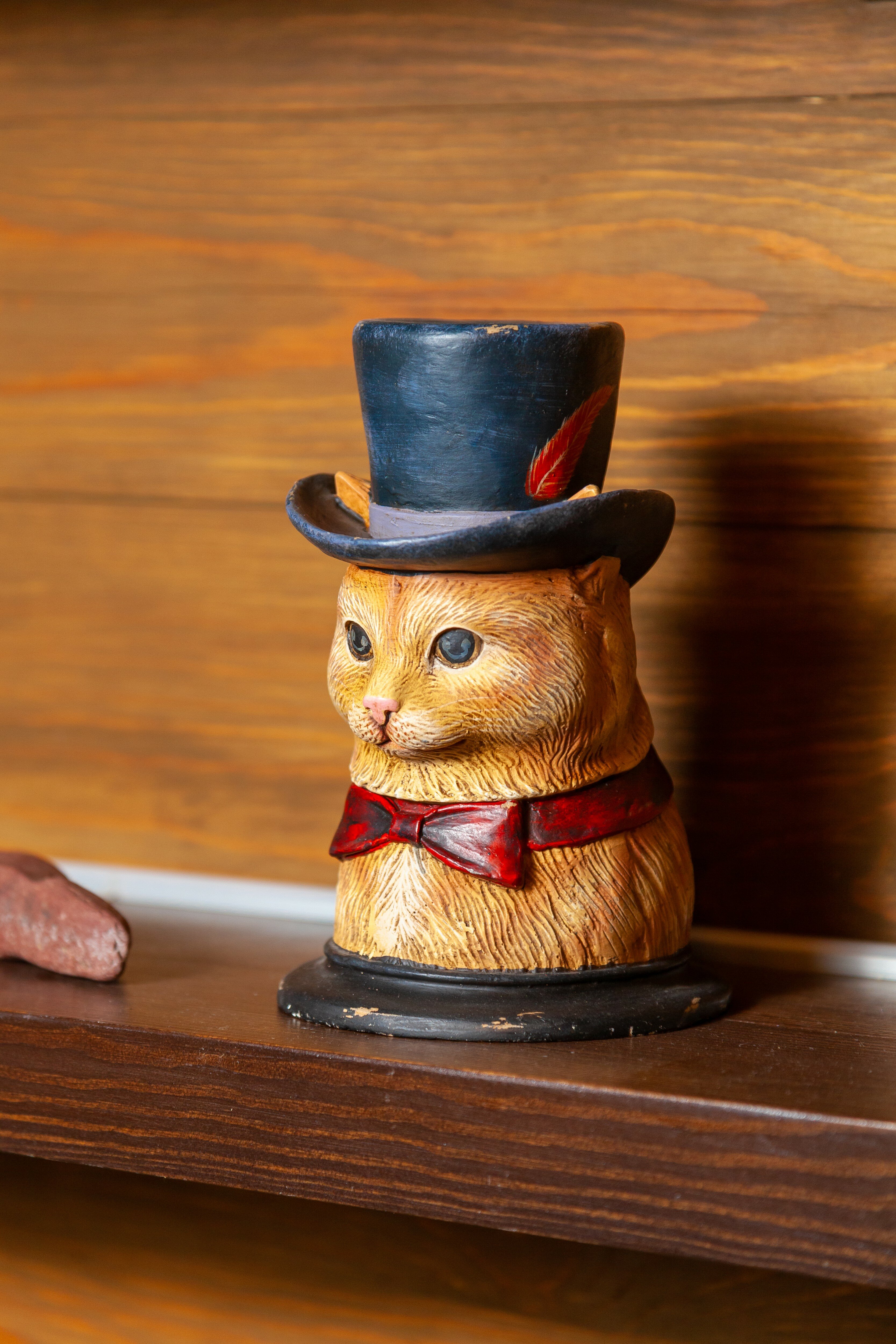 Фото Леонтоподиум