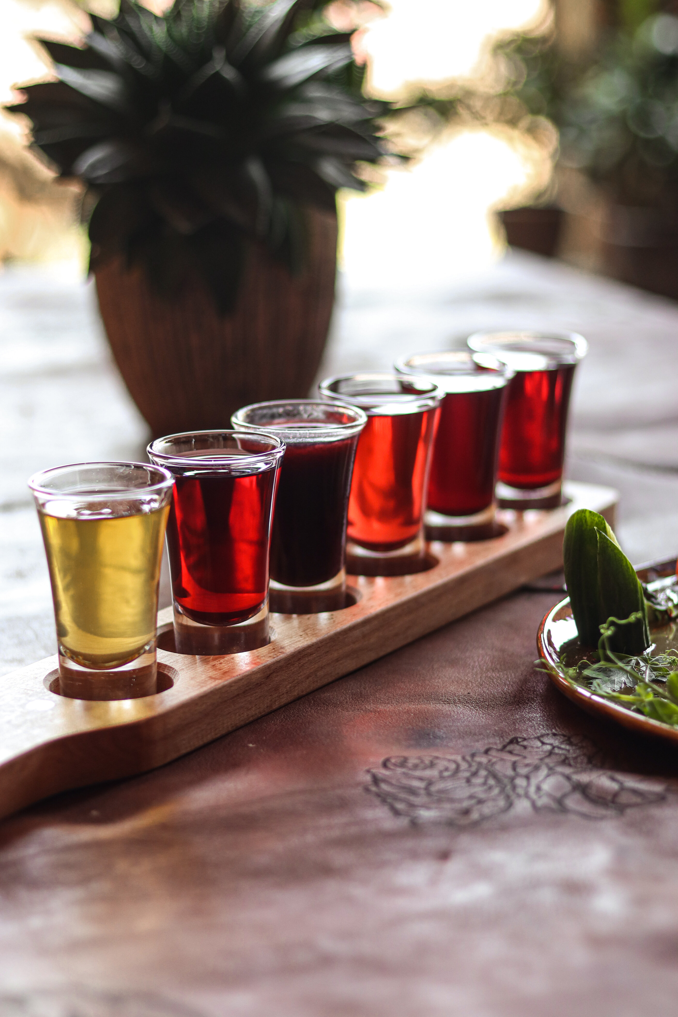 Фото SPA-Курорт Кедровый