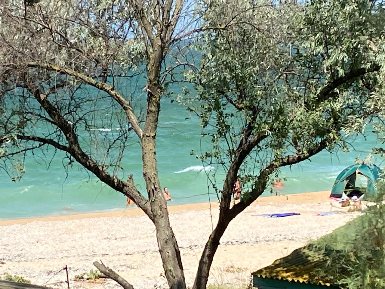 Фото Калипсо