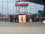 Gecco (Saint Petersburg, Brantovskaya Road, 3), fur and leather shop
