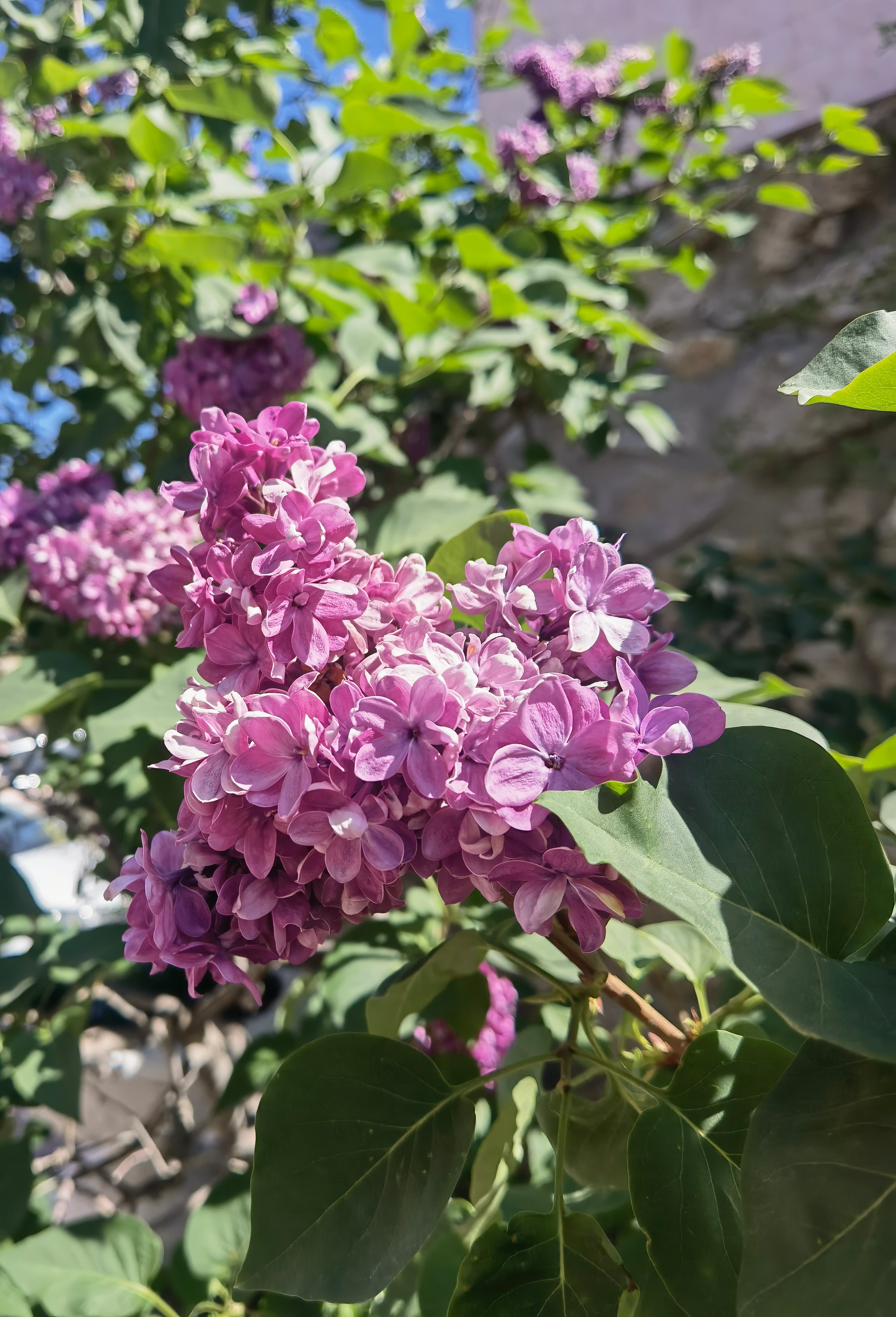 Фото Килова Гора