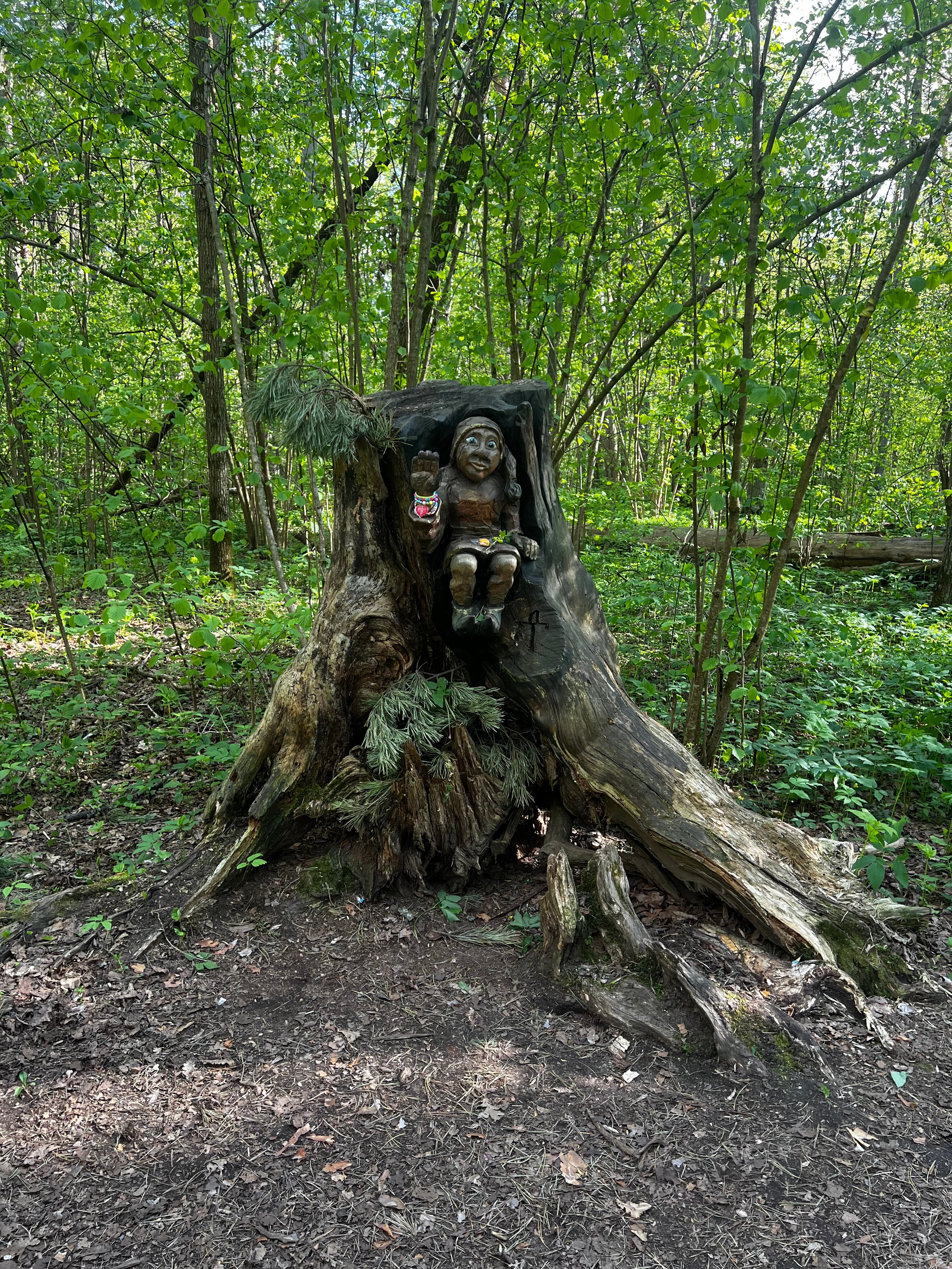 Фото Сосновый Бор