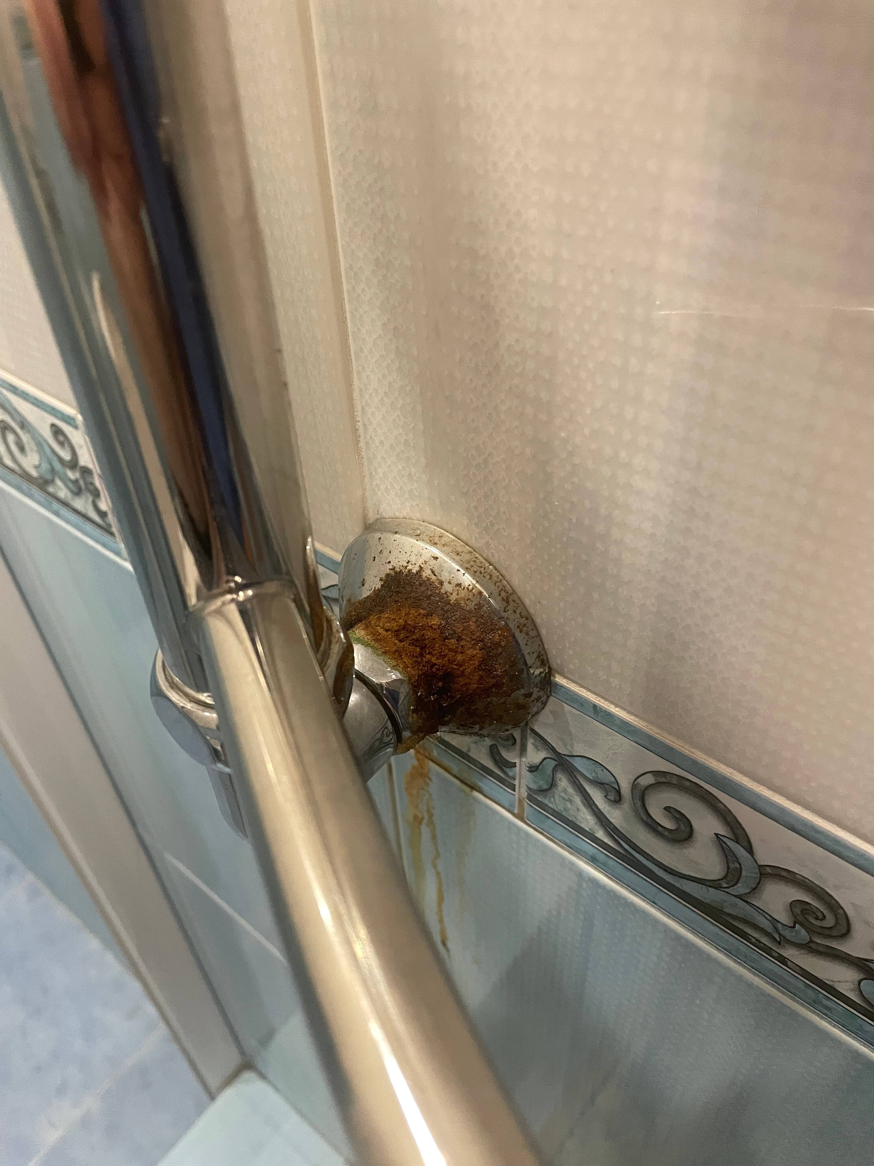 Фото Четыре сезона