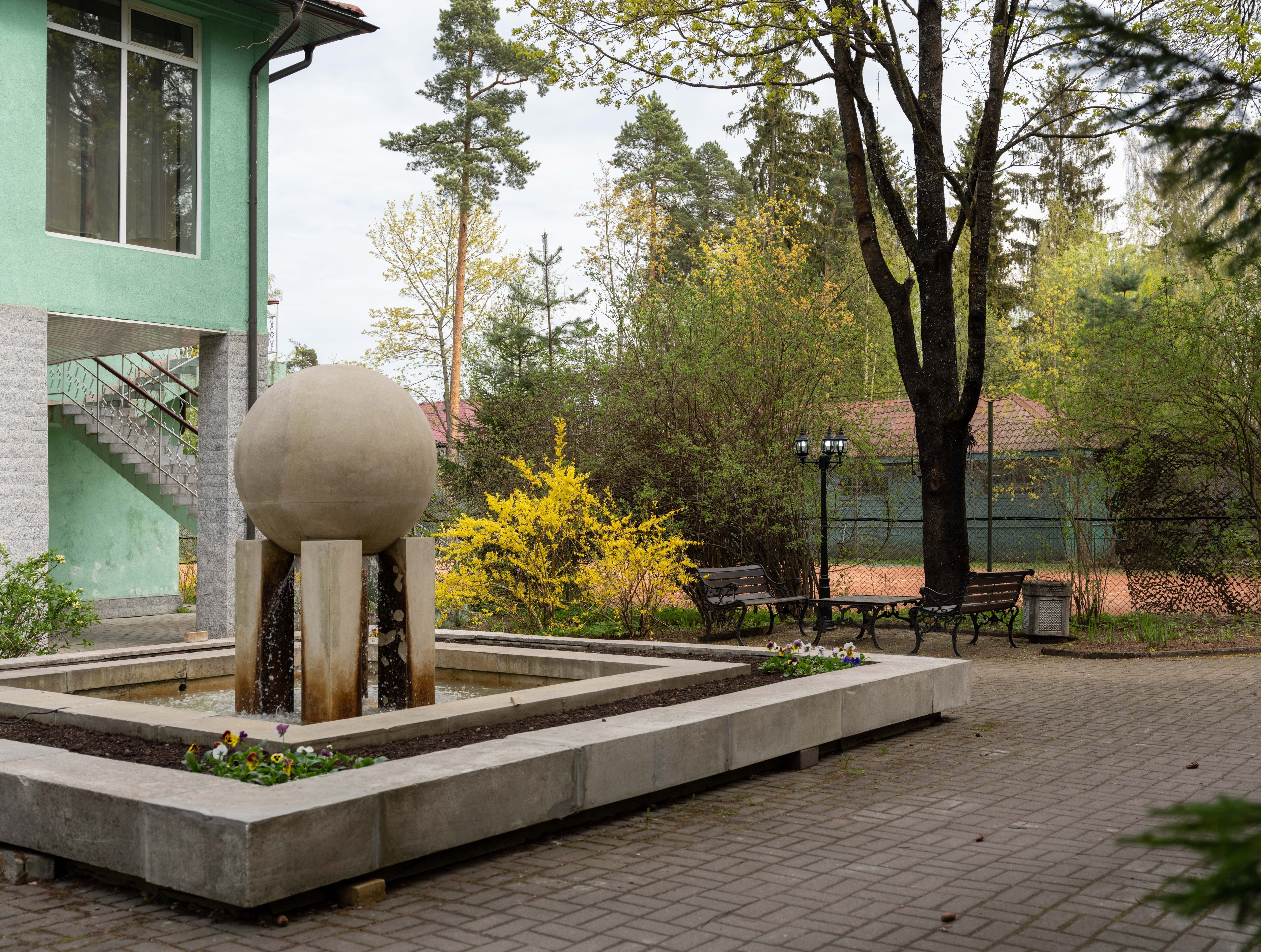 Фото Forest Relax