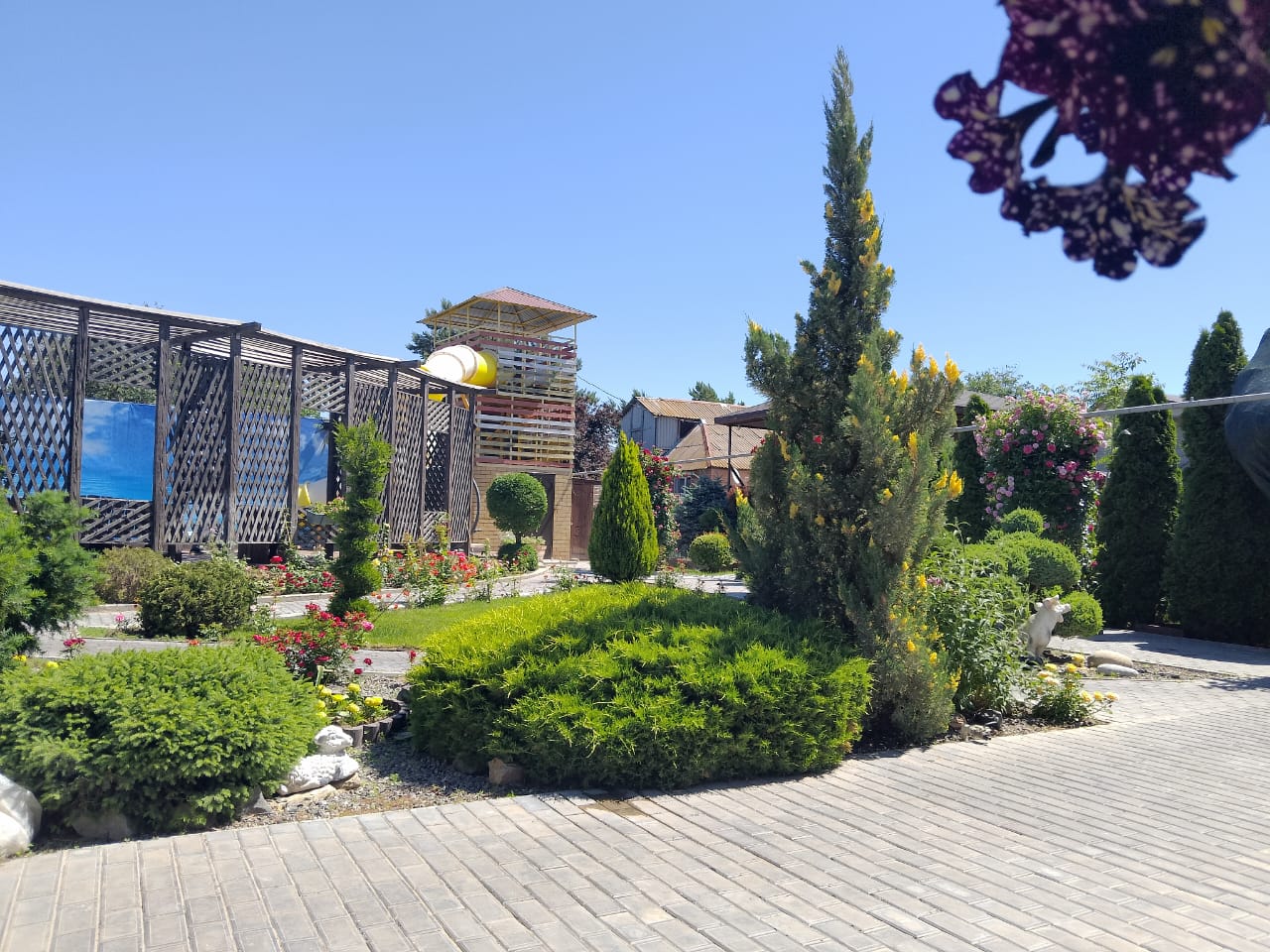 Фото Атмосфера