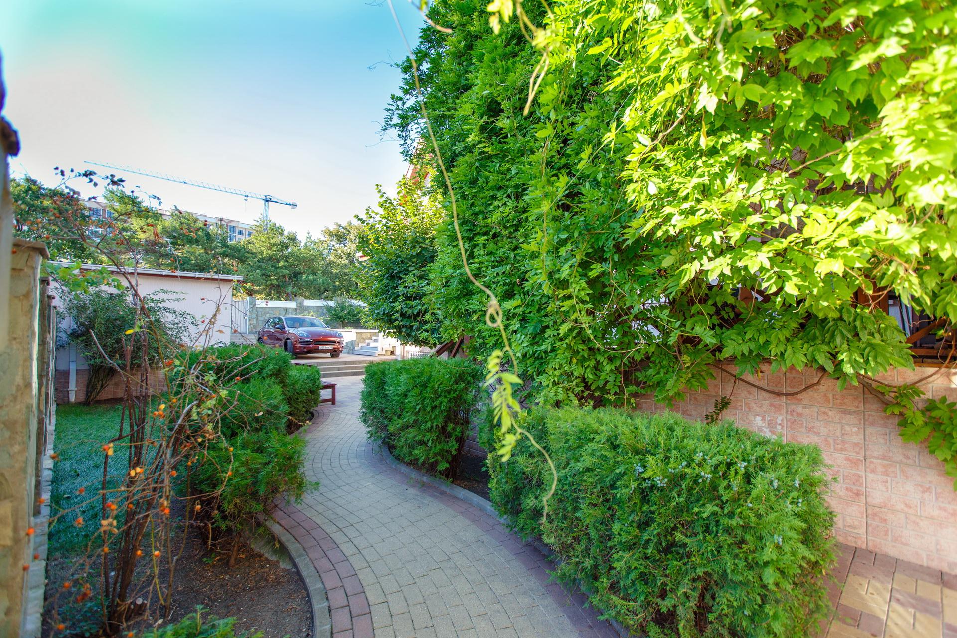 Фото Лесной