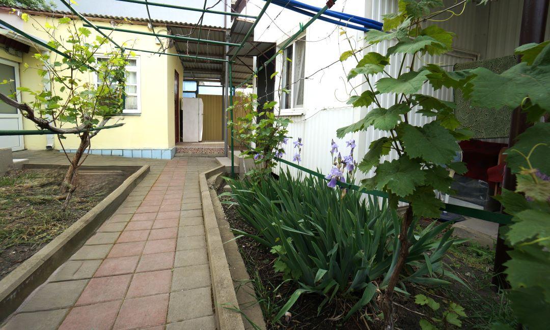 Фото Виноградная аллея