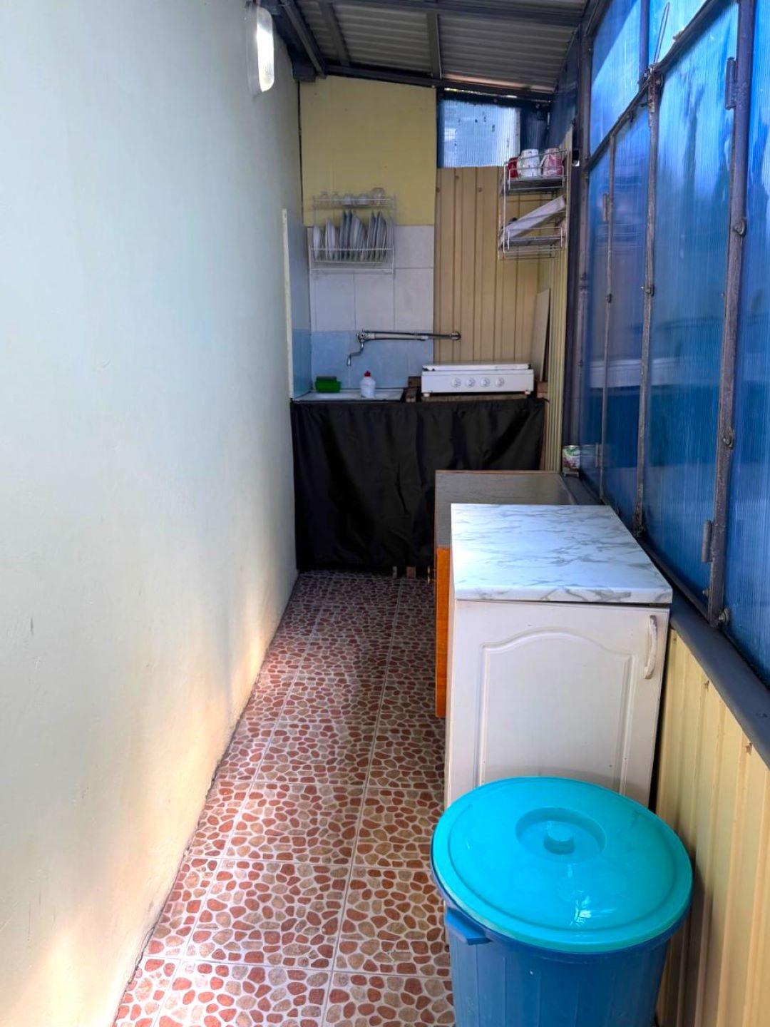 Фото Виноградная аллея