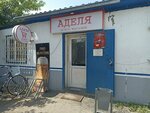 Adelya (Baqtyoraza Beısekbaev kóshesi, 31), grocery