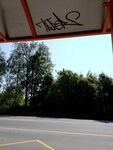 Лупполово – Зелёная улица (Leningrad Region, Vsevolozhckiy DIstrict, Yukkovskoye selskoye poseleniye, derevnya Luppolovo, Priozerskoe Highway), public transport stop