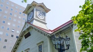 Гостиница Premier Hotel Cabin Sapporo