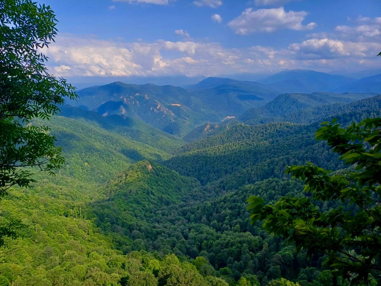 Фото Белая Дача