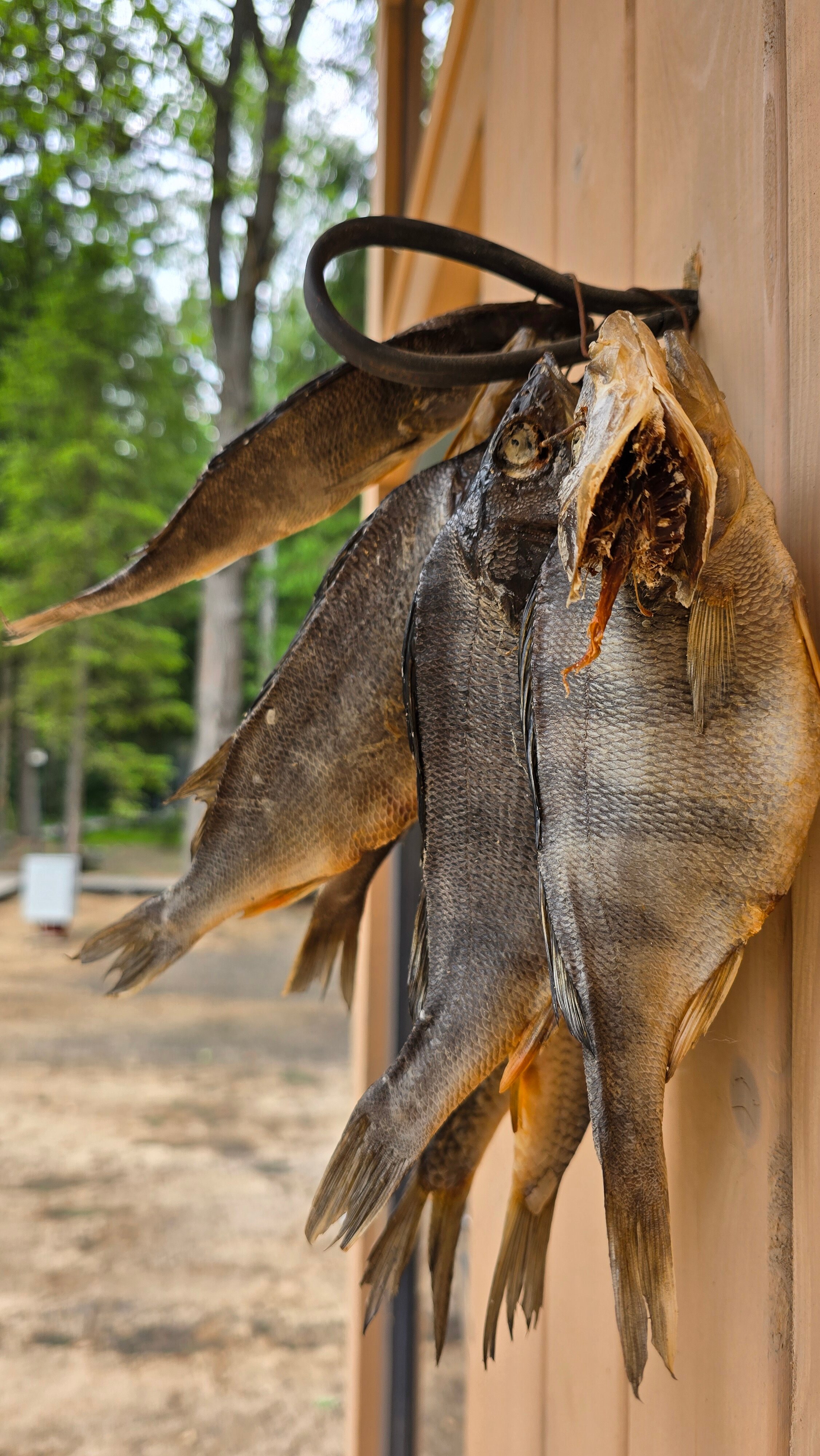 Фото Озеро белых лилий