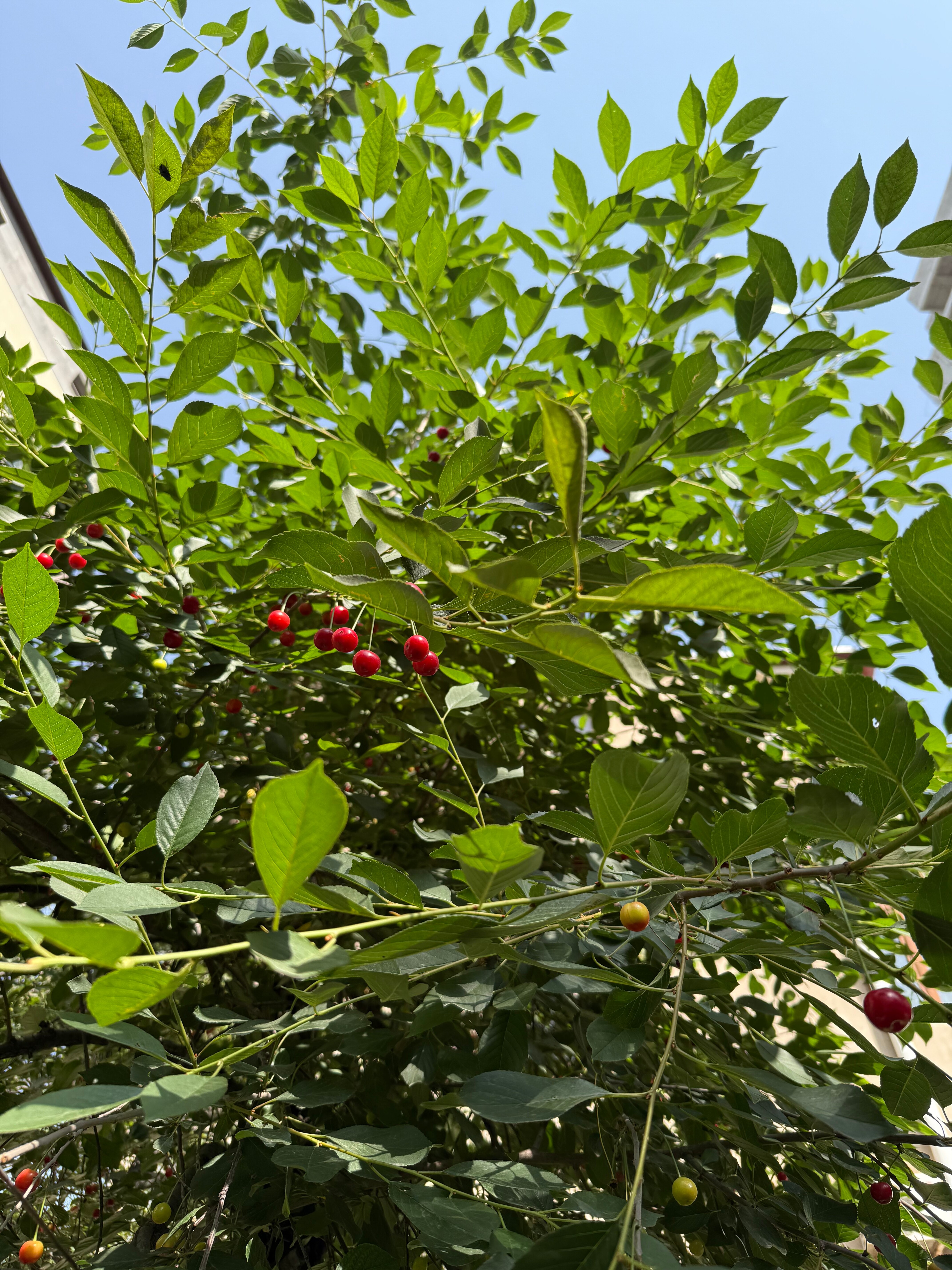 Фото Primer Hotel