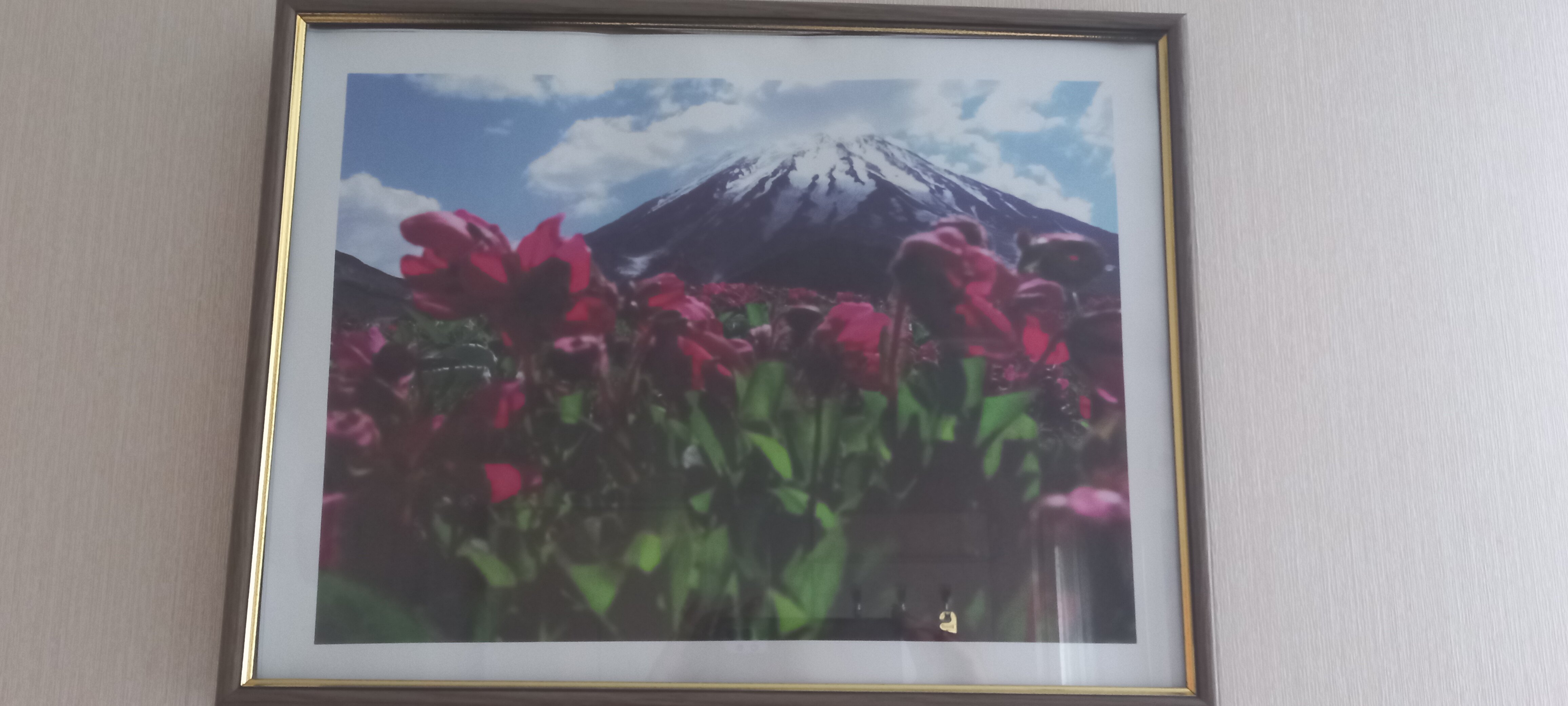 Фото Командор